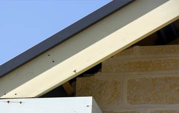 Groespluan fascia repairs
