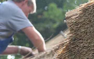 professional Groespluan thatchers